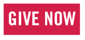 Give Now Button.